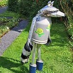 he, toch een wasbeer?