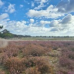 Hollandse lucht boven Strabrechtse Heide
