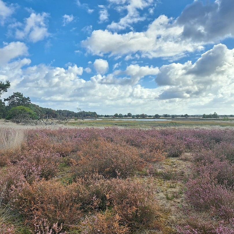 Hollandse lucht boven Strabrechtse Heide