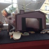 Onze levende kerststal met Livje in de rol van baby Jezus