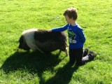 2 lieve biggetjes