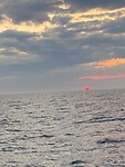 1017F8D8-016F-4953-BB89-858F032936CC