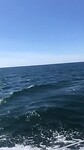 Prachtig zeilen van Gothenburg naar Marstrand