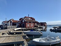 Karingo