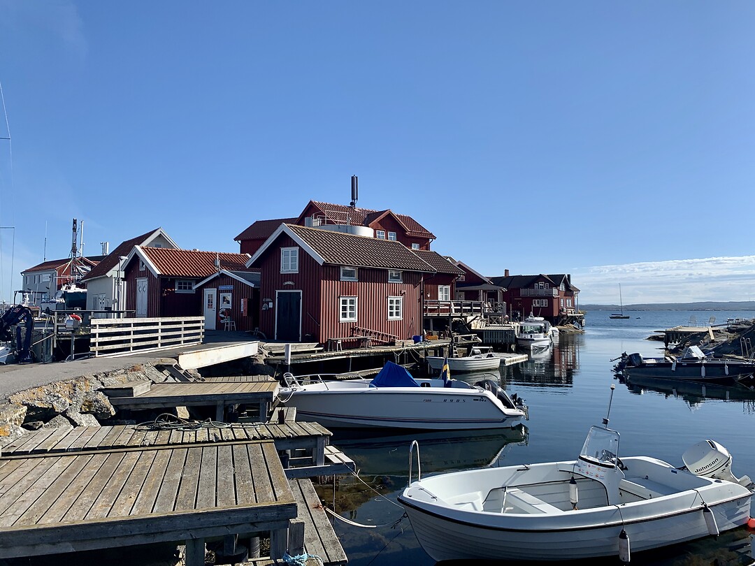 Karingo