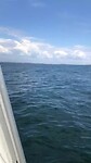 Van Karingo naar Roro