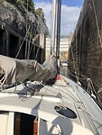 9EAD6B3D-4F37-42EB-AB6D-801F1FB3516C