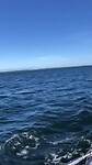 Glijden over de Kalmarsund