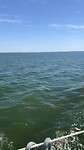 Zeilen over de Greifswalder bodden