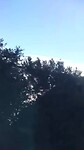 Uit de tandrad trein