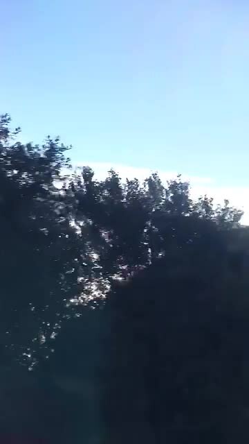 Uit de tandrad trein