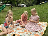 IMG_4629