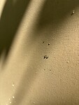 IMG_4643