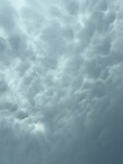IMG_4704
