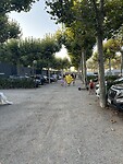 IMG_4717