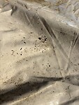 IMG_4993