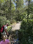 IMG_4972