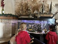 IMG_5002