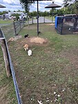 IMG_6722