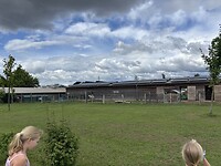 IMG_6726