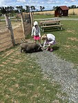 IMG_6736