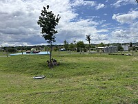IMG_6738