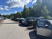 IMG_6964