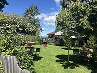 IMG_6977