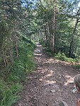 IMG_6985