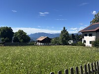 IMG_6979