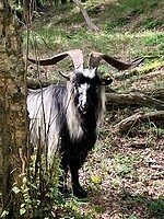 IMG_0114