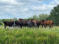 IMG_0119