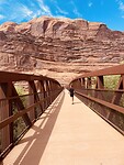 IMG_4478