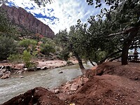 IMG_0110