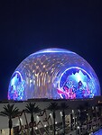 IMG_5287