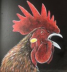 IMG_4525
