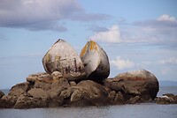 IMG_7424
