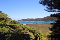 IMG_7455