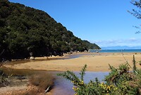 IMG_7464