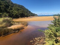IMG_1081