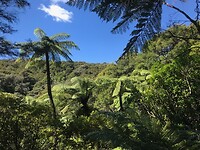 IMG_4720