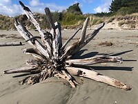 IMG_1106