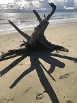 IMG_1107