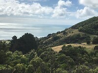 IMG_4796