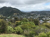 IMG_4798