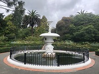 IMG_1113
