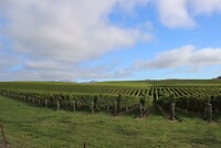 IMG_7472