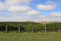 IMG_7473