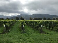 IMG_4826