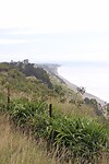 IMG_7478